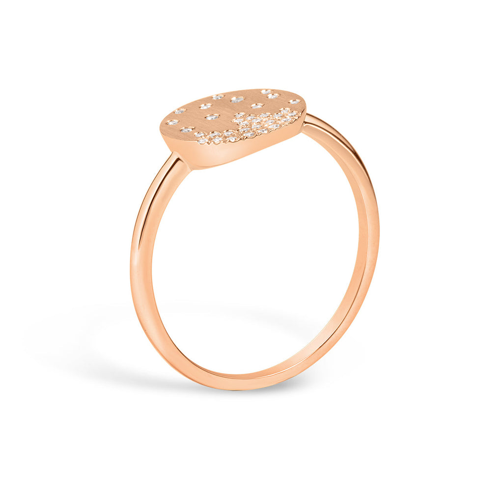 Diamond Petite Confetti Disc Ring