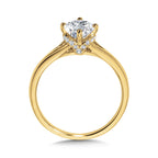 Oval-Cut Hidden Halo & Split Shank Diamond Engagement Ring w/ Compass Prongs — R2407Y-SR